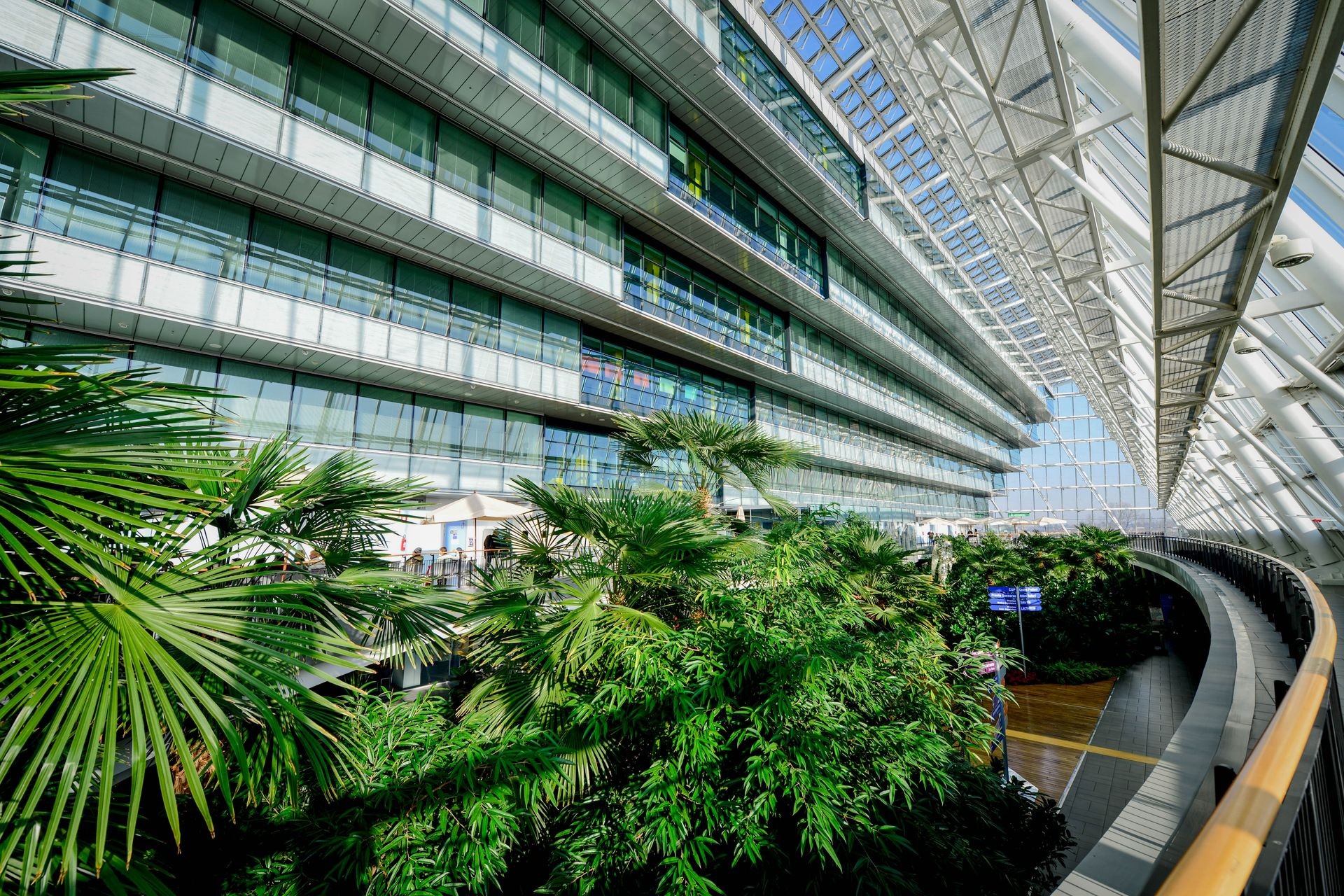 Modern atrium with large glass windows and lush indoor greenery under a skylight.